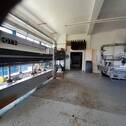 Halle/Auststattung - 