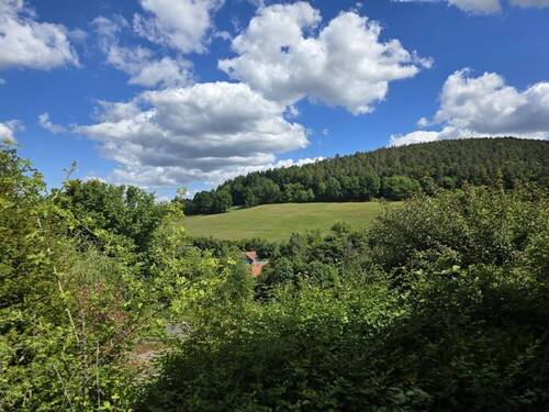 Ausblick - 
