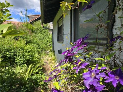 Bild 30 - 