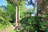 Blick in den Garten - 