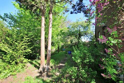 Blick in den Garten - 