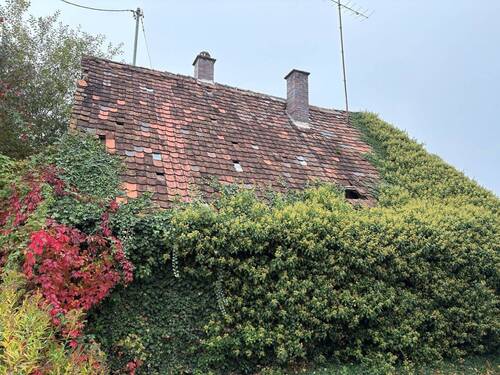 IMG_2812 - Grundstück in Schrobenhausen