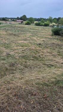 Bild 3 - Grundstück in Petershagen