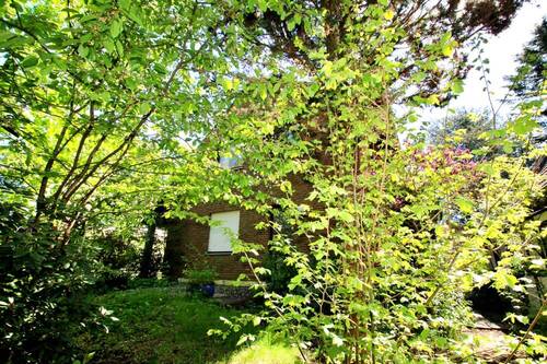 Blick zum Haus - 
