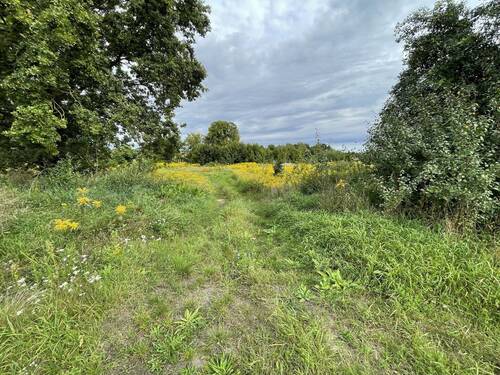 Grundstück - Große Baufläche für Bauträger und Investoren in Briesen in Bahnhofsnähe
