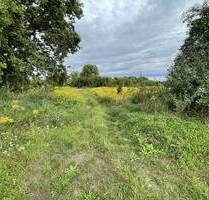 Große Baufläche für Bauträger und Investoren in Briesen in Bahnhofsnähe