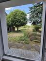 Mirabellenbaum Blick EG - 