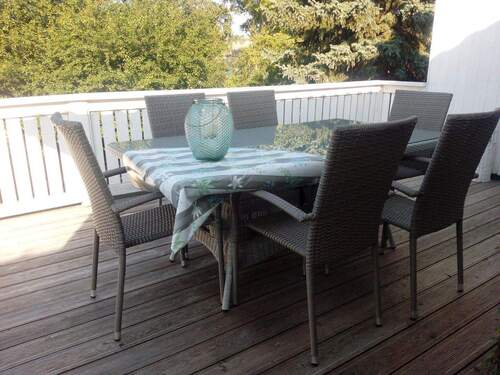 DG-Blick auf Mirabellenbaum - 