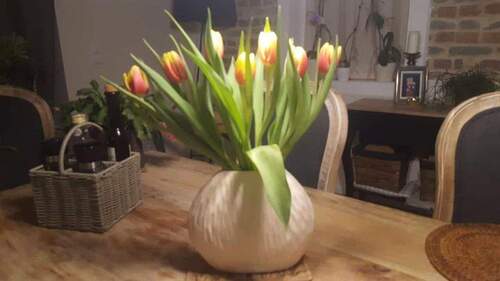 Bild 3 - 8 Zimmer Einfamilienhaus in Borkheide