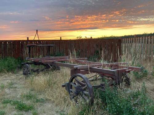 Heuwagen im eigenen Garten - Einfamilienhaus mit 193,00 m&sup2; in Borkheide zum Kaufen