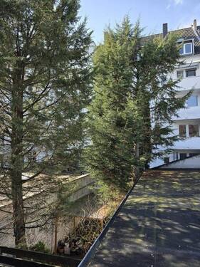 Blick ins Grün - 