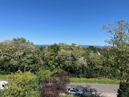 Blick Richtung See bzw. HD - 'Nah am Wasser gebaut' und von viel Natur umgeben: 'Aussichtsreiche' 3-Zimmer-ETW in MA.-Rheinau-Süd