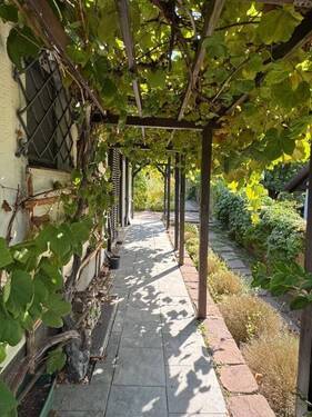 Aussenbereich - Einfamilienhaus mit 216,60 m&sup2; in Bad Karlshafen zum Kaufen