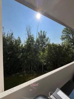Blick ins Grüne vom Balkon - 