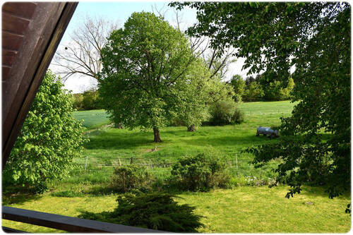 Bild14 - 