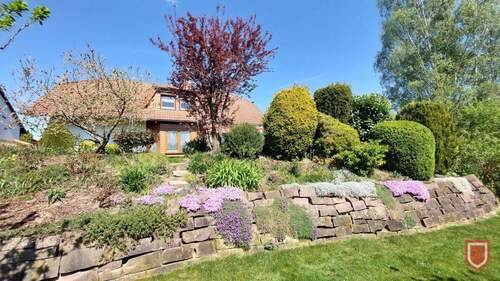 Gartenansicht - 6 Zimmer Einfamilienhaus zum Kaufen in Vellmar