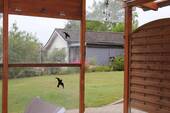 Überdachte Terrasse - 