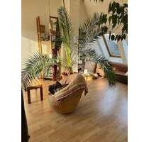 amarc21 - Charmantes MFH sucht neuen Liebhaber - Köln Nippes