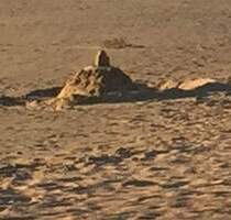 Baulücke - 89.000,00&nbsp;EUR Kaufpreis, ca.&nbsp; 0,00&nbsp;m&sup2; in Stemwede (PLZ: 32351) Levern