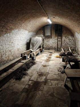 IMG_20251203_153115.jpg - 