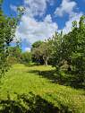 Der Garten - 