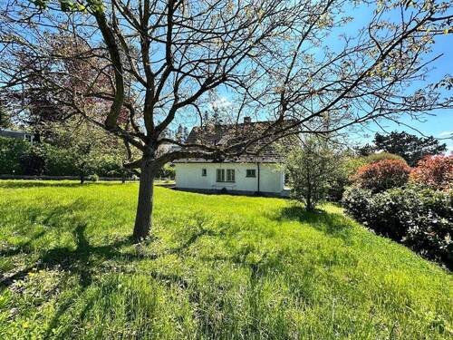Garten - 