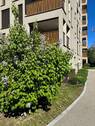 Blick zum Balkon zur Wohnung - 