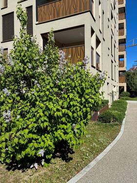 Blick zum Balkon zur Wohnung - 