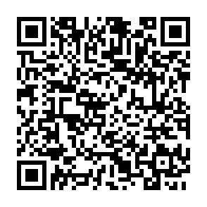 QR-Code - 