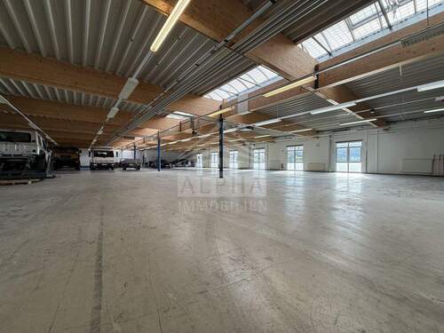 Halle - Einfamilienhaus in Heidenheim an der Brenz zum Kaufen