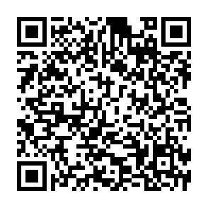 QR-Code - 