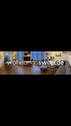 Bild 11 - 