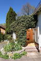 Gartenlaube - 
