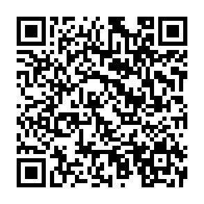 QR-Code - 