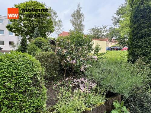 Gepflegte Außenanlage - 