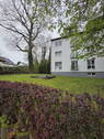 Hinteransicht mit Wiese - 