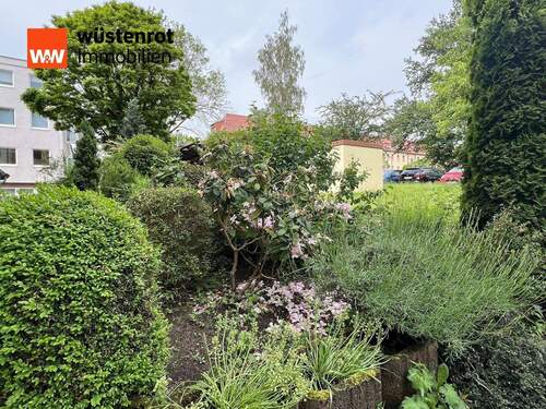 Gepflegte Außenanlage - 