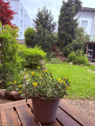 schöner Garten mit Teich - 