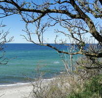 2 Zimmer Bungalow mit Grundstück am Haff und Ostsee - Roggow OT Rerik