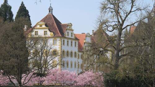 Nahe beim Schloss - 