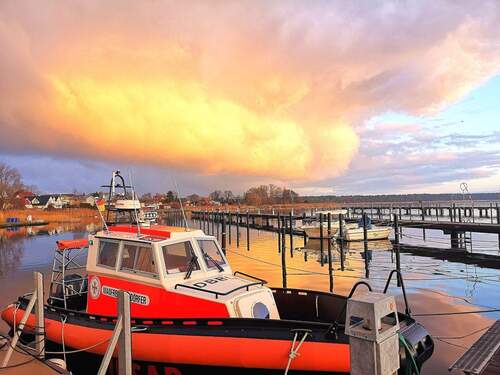 IMG_20210103_092303_resized_20210115_105252405.jpg - 