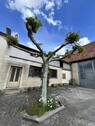 Bild 17 - 