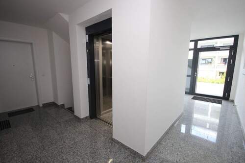 Gepflegtes Treppenhaus - 