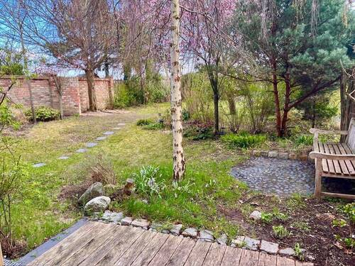 Blick in den Garten - 