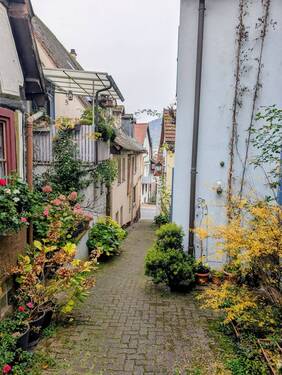 Zugang.jpg - 3 Zimmer Doppelhaushälfte in Freudenberg