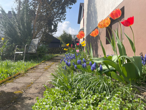 Außenanlagen - 6 Zimmer Mehrfamilienhaus, Wohnhaus in Balve