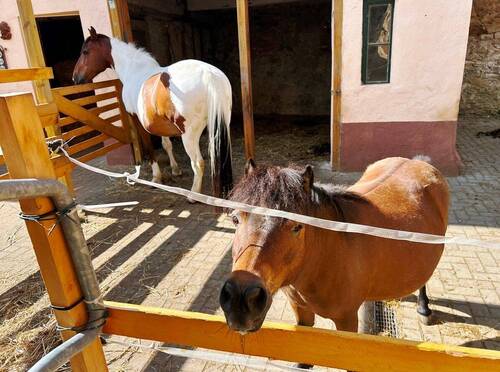 Hofbereich mit Unterstand - 