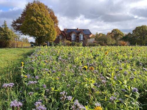 Blick von der angrenzenden Wiese aufs Haus - 8 Zimmer Einfamilienhaus in Staffhorst