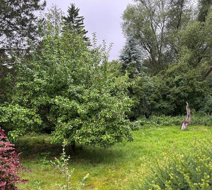 Grundstück - Grundstück zum Kaufen in Braunschweig / Schuntersiedlung