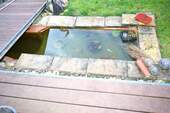 kleiner Teich im Garten - 